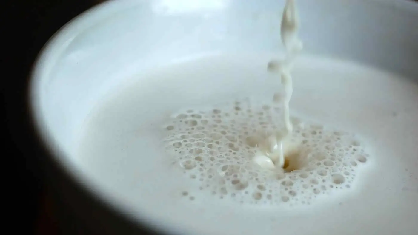 Alternative Milks – What’s Most Efficient?